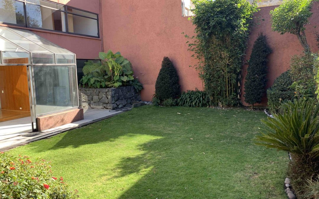 Aida 8, San Angelinn